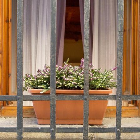 San Frediano District - Apartment Firenze Kültér fotó