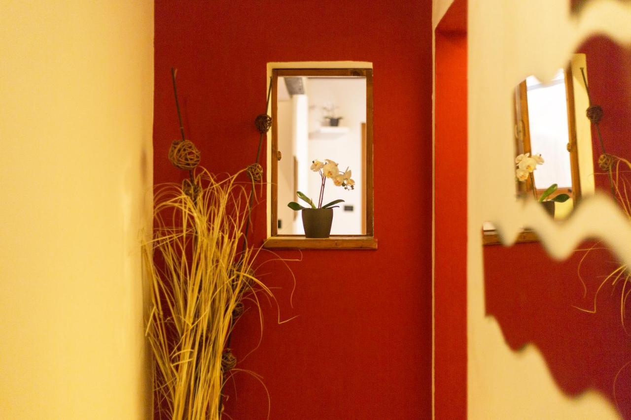 San Frediano District - Apartment Firenze Kültér fotó