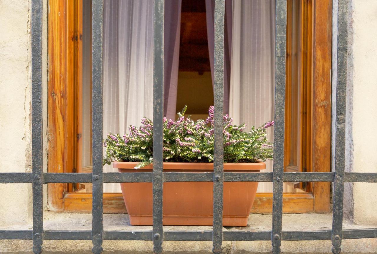 San Frediano District - Apartment Firenze Kültér fotó